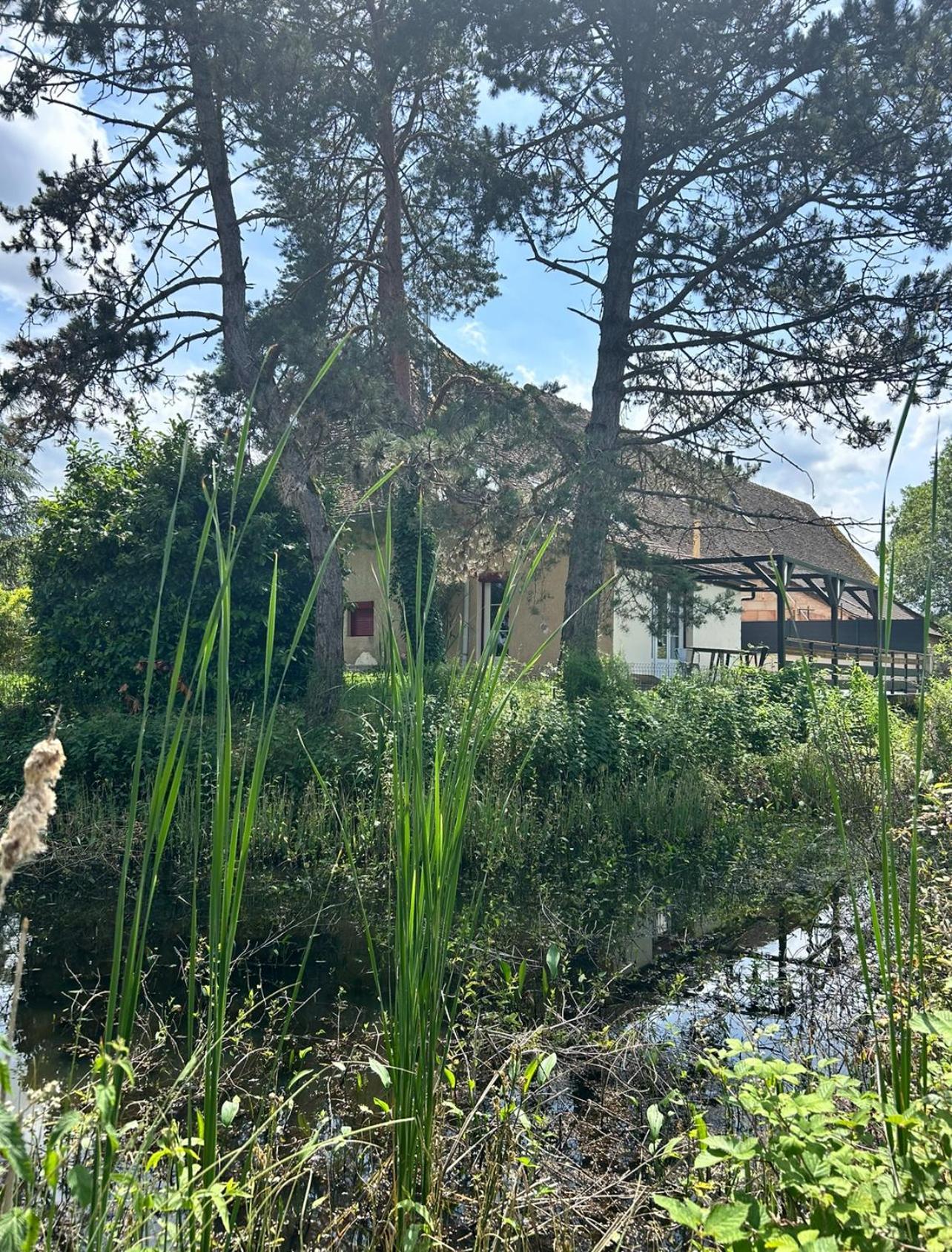 Le Gite Du Chateau Mouton Chatenoy-le-Royal Eksteriør bilde