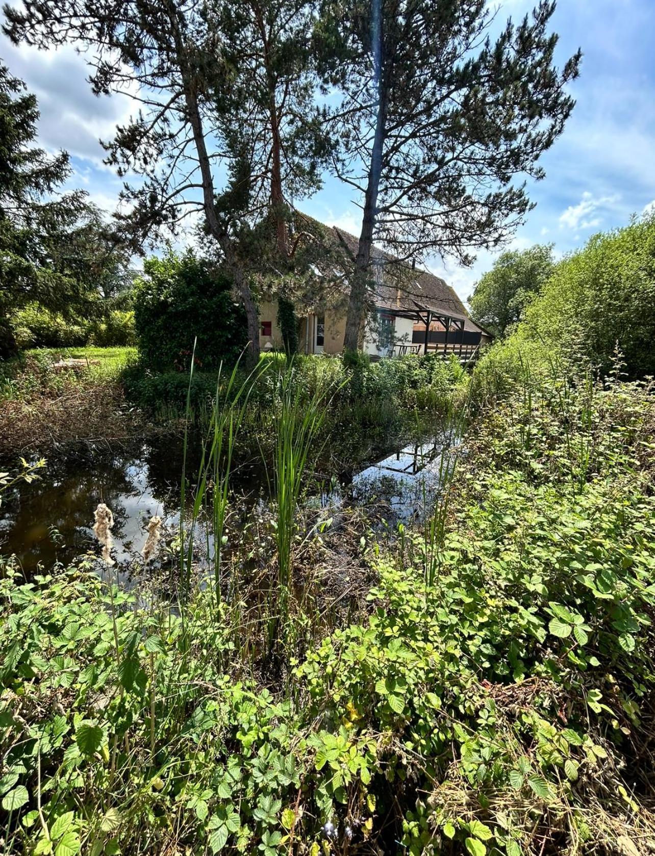 Le Gite Du Chateau Mouton Chatenoy-le-Royal Eksteriør bilde